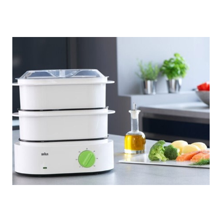 Braun FS 3000